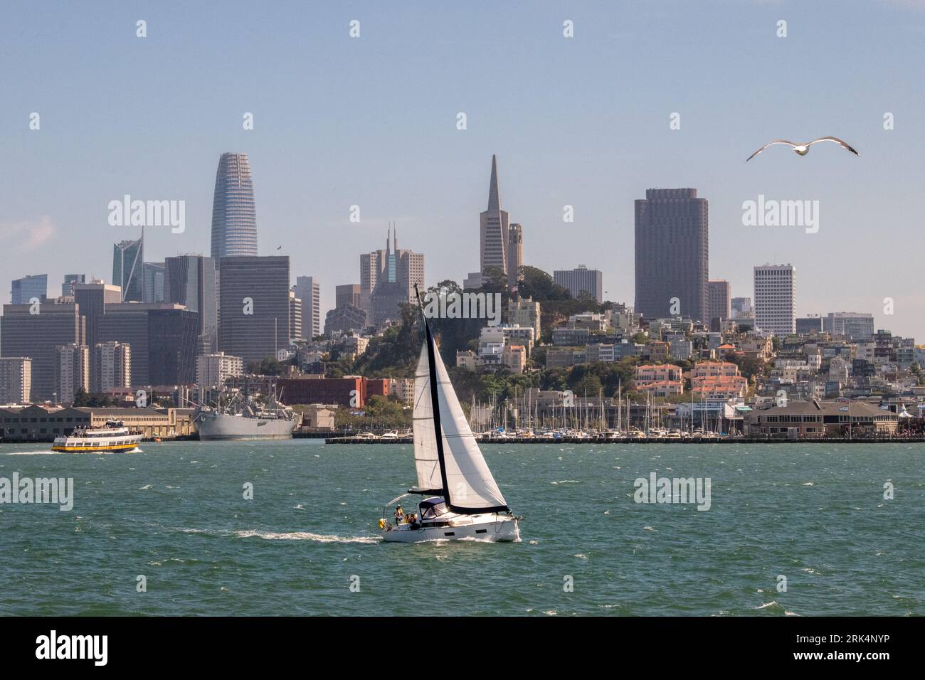 Barche a vela nella Baia di San Francisco Foto Stock