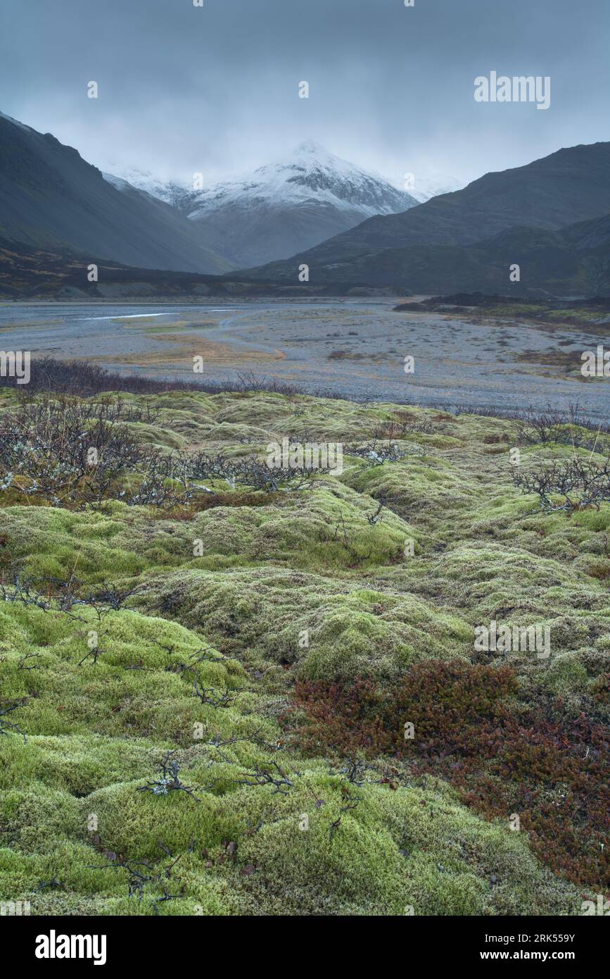 Suggestivi paesaggi invernali nel sud-est dell'Islanda Foto Stock