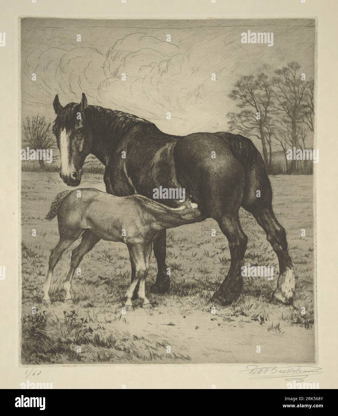Maternité (Jument et poulain têtant) prima metà del XX secolo da Constant Eugène de Busschere Foto Stock