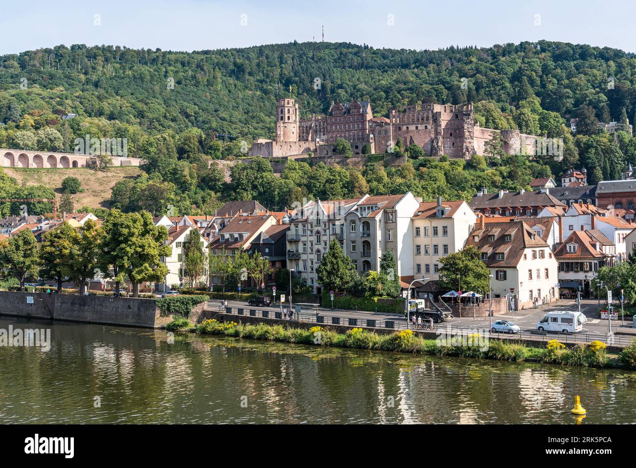 Una splendida vista del Palazzo di Heidelberg situato sulla cima di una lussureggiante collina verde. Germania. Foto Stock