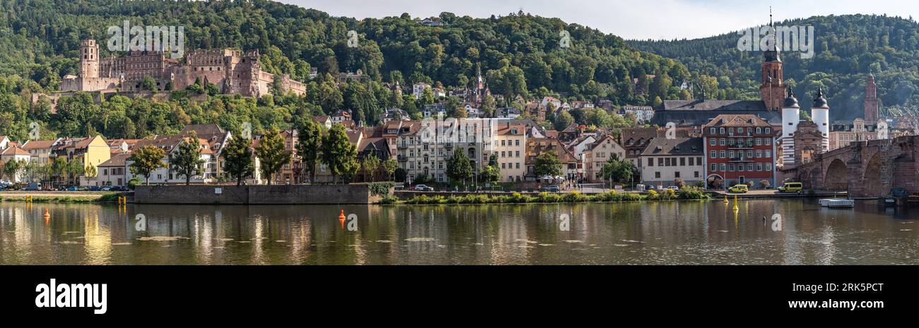 Uno scatto panoramico del Palazzo di Heidelberg e dello skyline della città. Germania. Foto Stock