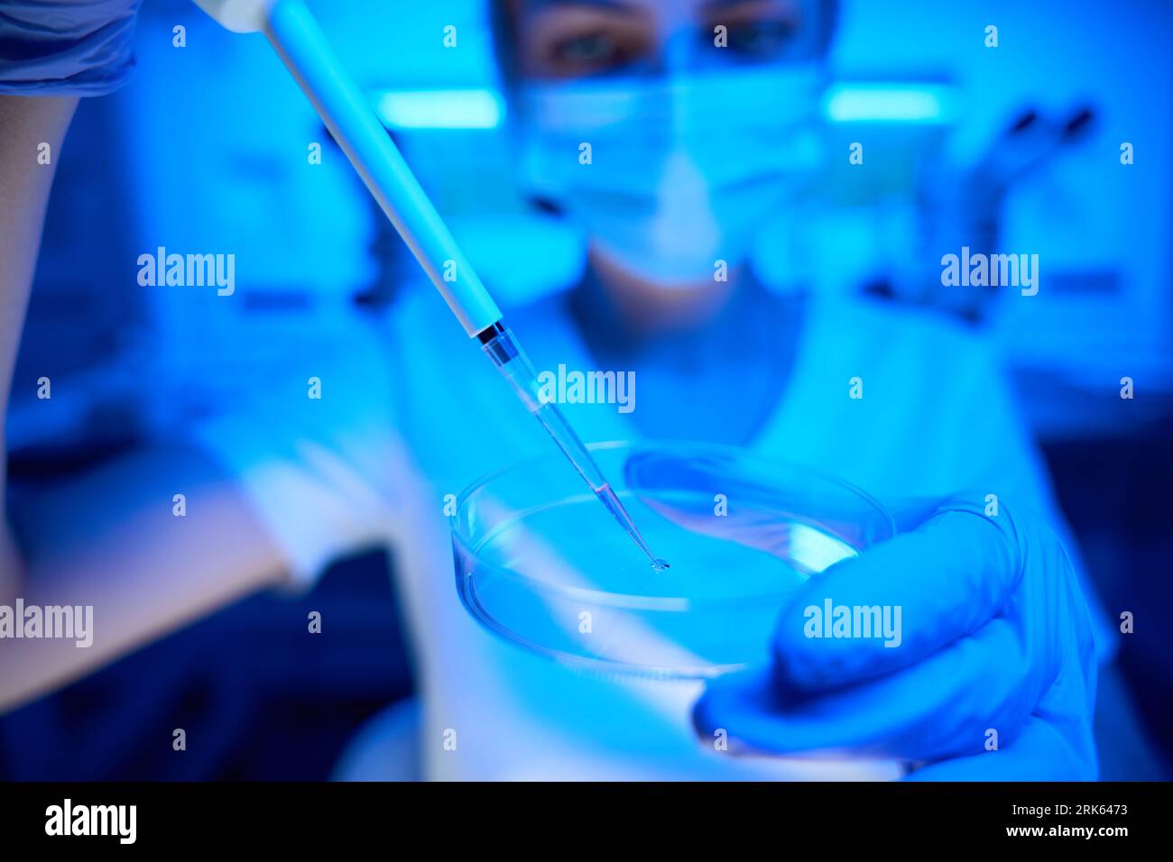 Lo scienziato manipola il biomateriale in un laboratorio moderno Foto Stock