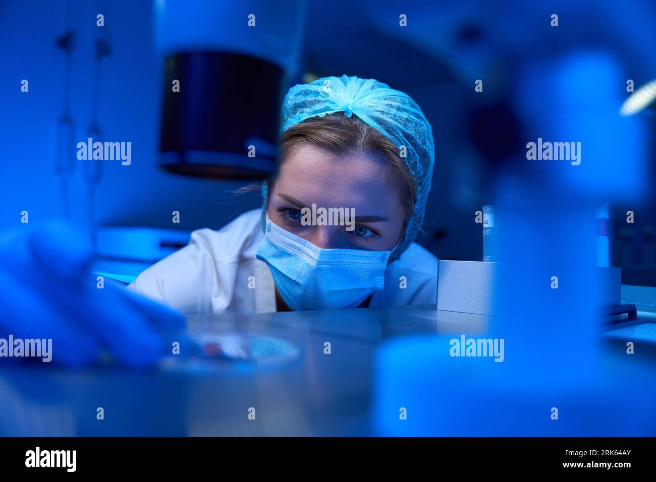 Assistente di laboratorio nella maschera di protezione lavora con biomateriale in laboratorio Foto Stock
