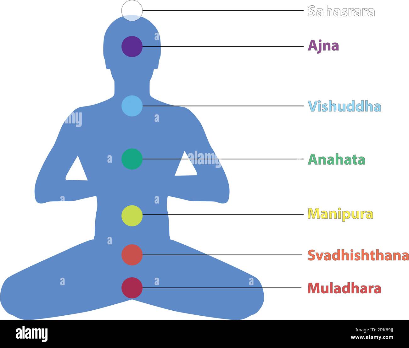 Sette chakra sulla silhouette yogi meditata. Questi sono simboli di religione, filosofia e spiritualità. illustrazione vettoriale. Illustrazione Vettoriale