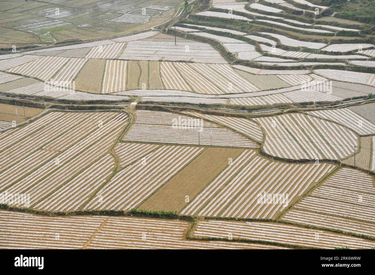 Bildnummer: 53856733 Datum: 14.03.2010 Copyright: imago/Xinhua (100315) -- BAISE, 15 marzo 2010 (Xinhua) -- foto scattata il 14 marzo 2010 mostra la vista a volo d'uccello del campo a Dizhou Town, Jingxi County, regione autonoma Guangxi Zhuang della Cina meridionale. Il governo locale si impegnò a fondo per promuovere la tecnologia anti-siccità e idratante con film di pacciamatura in agricoltura contro la grave e persistente siccità. (Xinhua/Zhao Jingwu) (px) (4)CINA-GUANGXI-AGRICULTURE-PACCIAMATURA-PACCIAMATURA PROTEZIONE (CN) PUBLICATIONxNOTxINxCHN Wirtschaft Landwirtschaft kbdig xkg 2010 quer o0 Feld, Landschaft Foto Stock