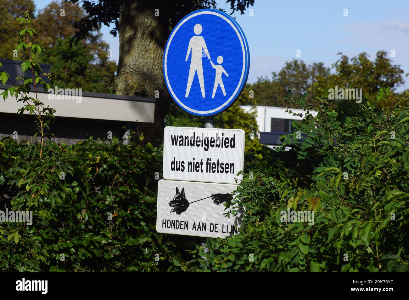 Olandese tradotto: Area pedonale, quindi non andare in bicicletta. Tenga il suo cane al guinzaglio. Segnali stradali olandesi. Sentiero escursionistico. Estate, agosto, Paesi Bassi. Foto Stock