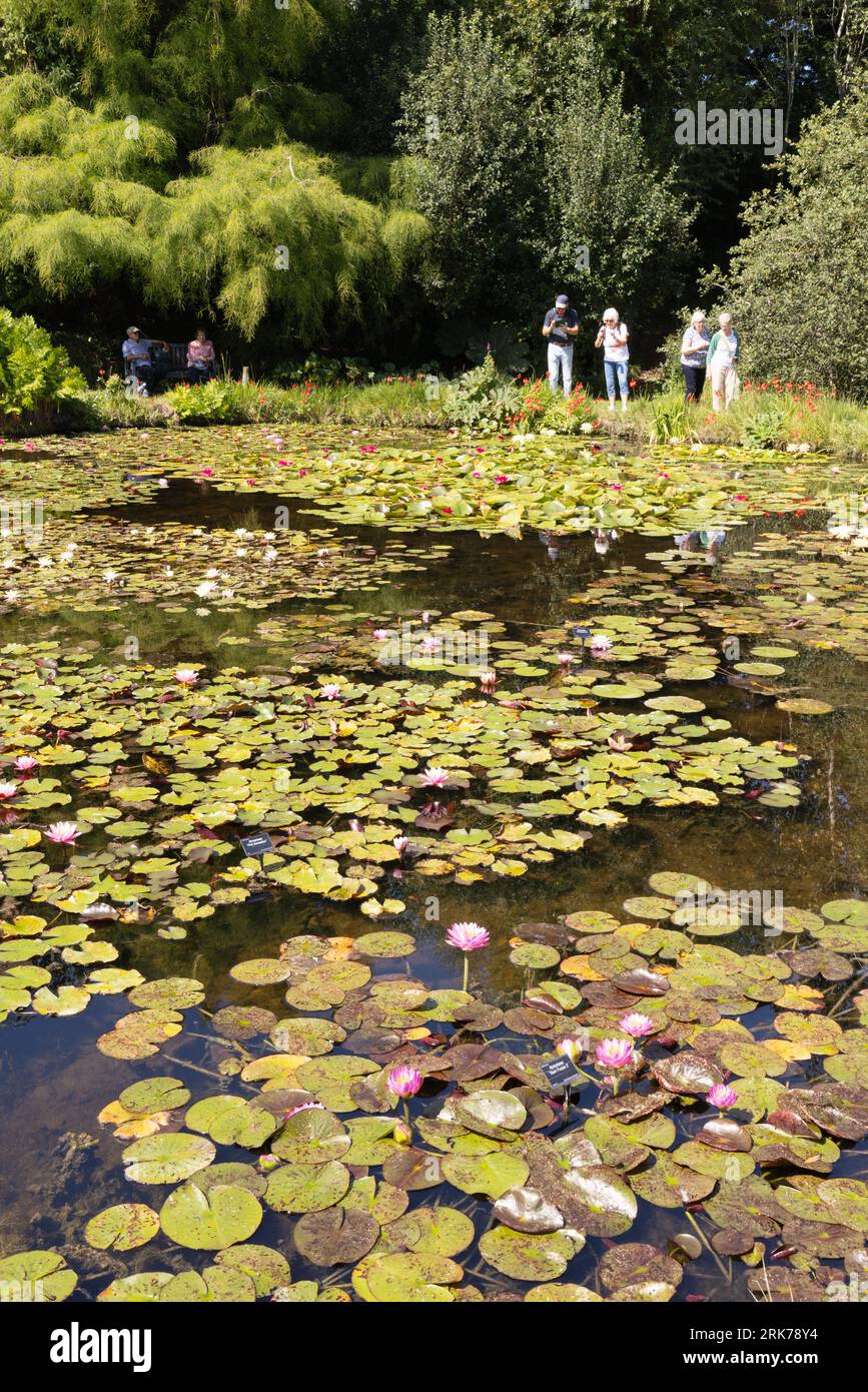 I visitatori che si godono il sole in un'estate inglese, i Bennetts Water Gardens, Chickerell, Weymouth Dorset UK Foto Stock
