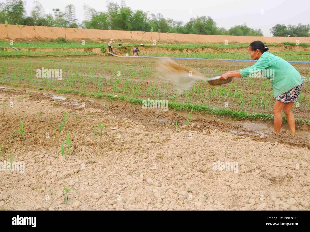 Bildnummer: 53901039 Datum: 28.03.2010 Copyright: imago/Xinhua irrigare i grani con l'acqua trasportata da altre aree, nella provincia di Phu Tho in Vietnam, 28 marzo 2010. Il ministero vietnamita dell'agricoltura e dello sviluppo rurale ha recentemente previsto che almeno 100.000 ettari di riso nel delta del Mekong siano minacciati dalla siccità. (Xinhua) (lyi) (2)VIETNAM-HANOI-SICCITÀ PUBLICATIONxNOTxINxCHN Wirtschaft Landwirtschaft Dürre Trockenheit kbdig xub 2010 quer premiumd xint Bildnummer 53901039 Date 28 03 2010 Copyright Imago XINHUA irrigare i grani dall'acqua trasportata da o Foto Stock
