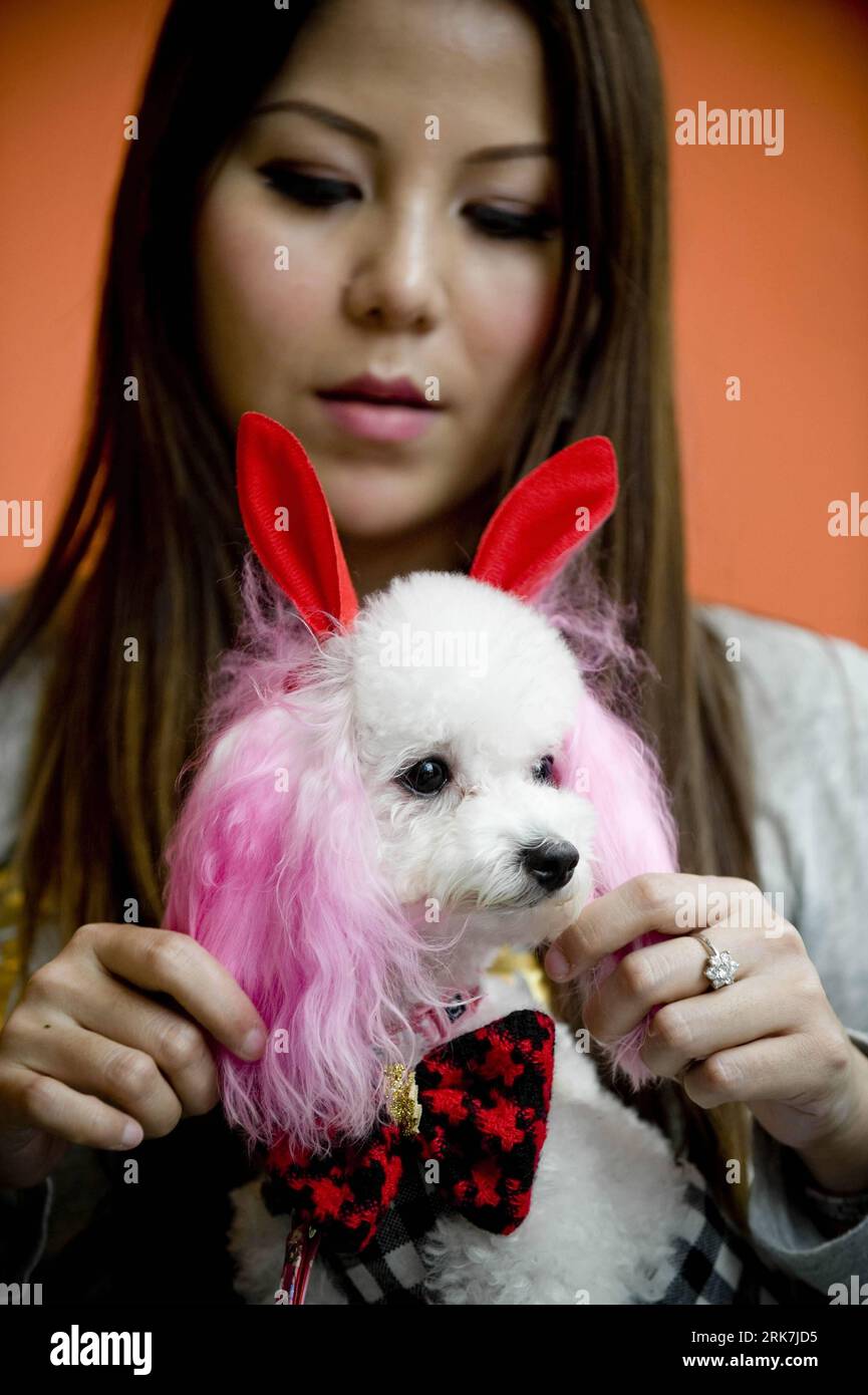 Bildnummer: 53920433 Datum: 06.04.2010 Copyright: imago/Xinhua (100406) - HONG KONG, 6 aprile 2010 (Xinhua) -- Un cane e il suo padrone partecipano a una mostra canina organizzata da un centro commerciale a Hong Kong, nel sud della Cina, 6 aprile 2010. (Xinhua/lui Siu Wai) (zhs) (4)CHINA-HONG KONG-DOG-SHOW (CN) PUBLICATIONxNOTxINxCHN Gesellschaft Tiere kbdig xmk 2010 hoch highlight premiumd kurios Komik o0 Haustier Hund Pudel rosa Bildnummer 53920433 Date 06 04 2010 Copyright Imago XINHUA Hong Kong April 6 2010 XINHUA Dog and ITS Master partecipano a Dog Show organizzato da un Centro commerciale in Hong Kong Cina del Sud Apri Foto Stock