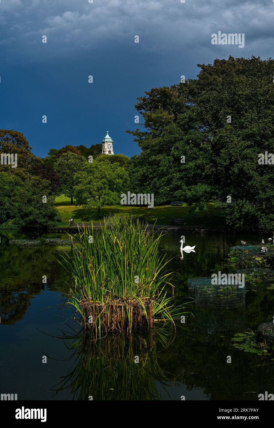 Brighton Regno Unito 24 agosto 2023 - il sole prende la torre dell'orologio e un cigno nel Queens Park Brighton dopo che un temporale era passato sopra la città questo pomeriggio : Credit Simon Dack / Alamy Live News Foto Stock