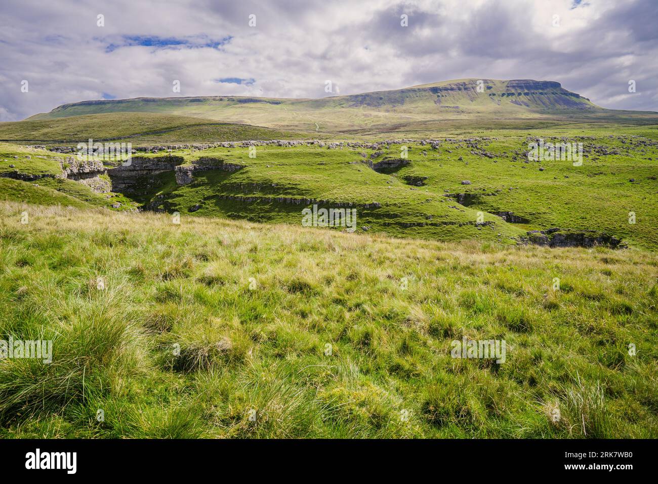 Veduta di uno dei Three Yorkshire Peaks - Penyghent (Pen-Y-Ghent) a Ribblesdale nelle Yorkshire Dales. In primo piano c'è Horton Scar. Foto Stock