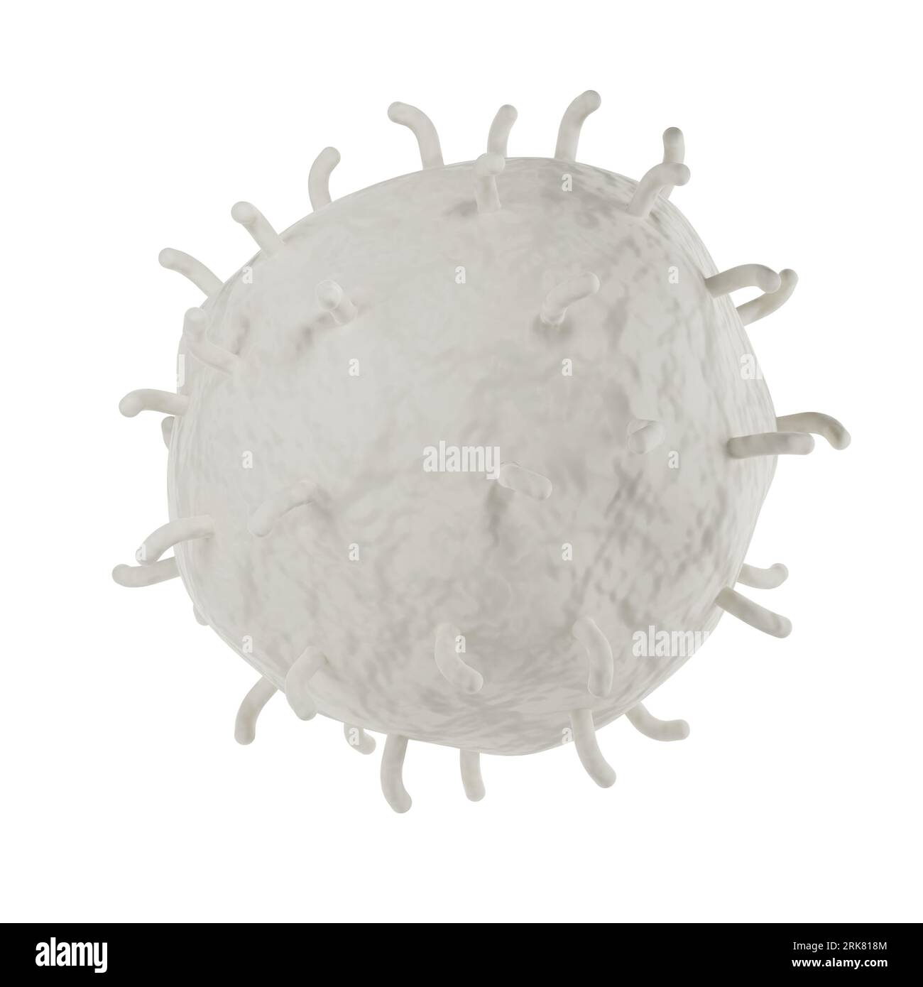 Analisi realistica delle icone 3d dei globuli bianchi. Leucociti illustrazione medica isolato trasparente png Foto Stock