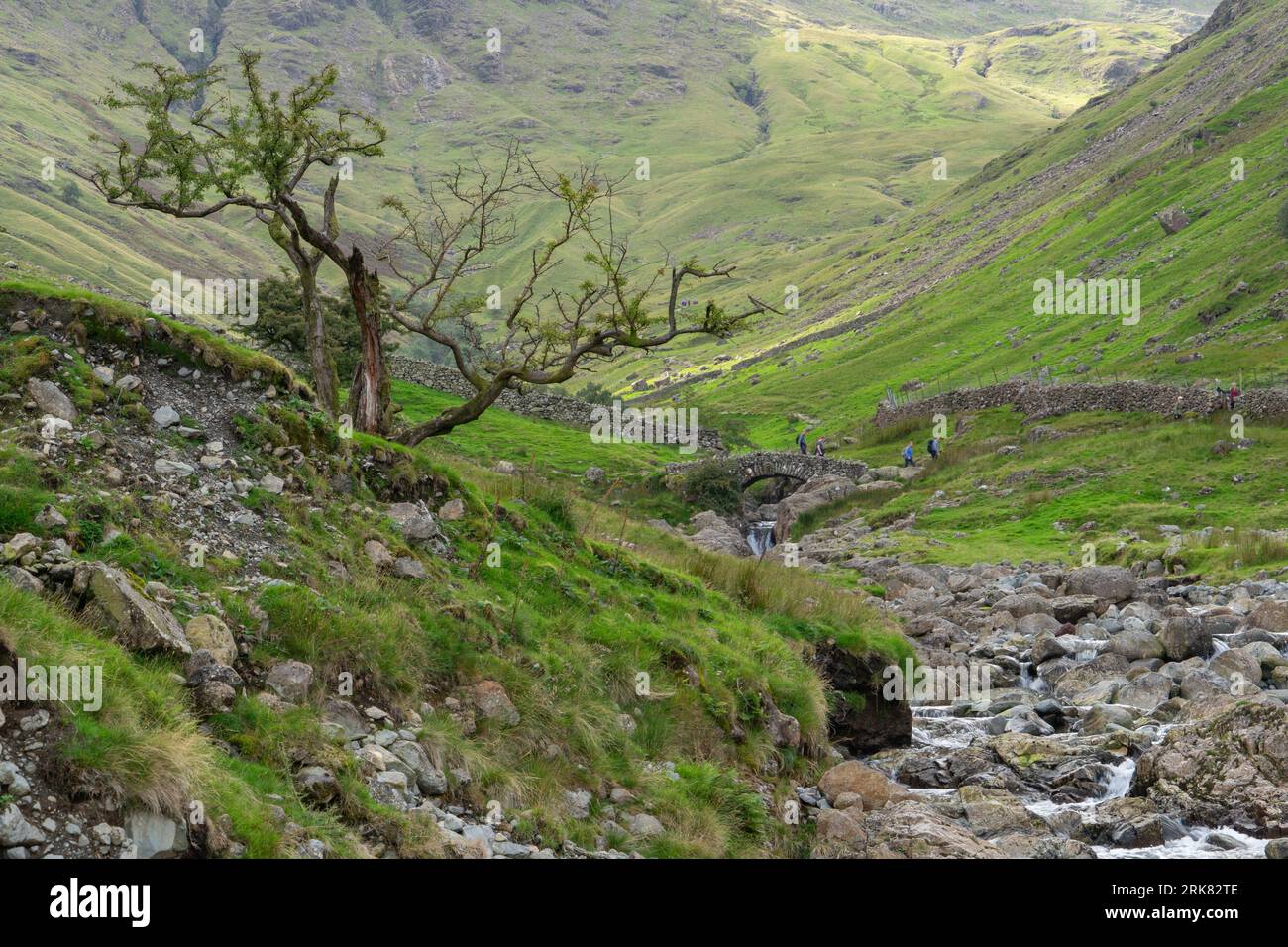 Graains Gill and the Seathwaite Valley, Cumbria, Regno Unito Foto Stock