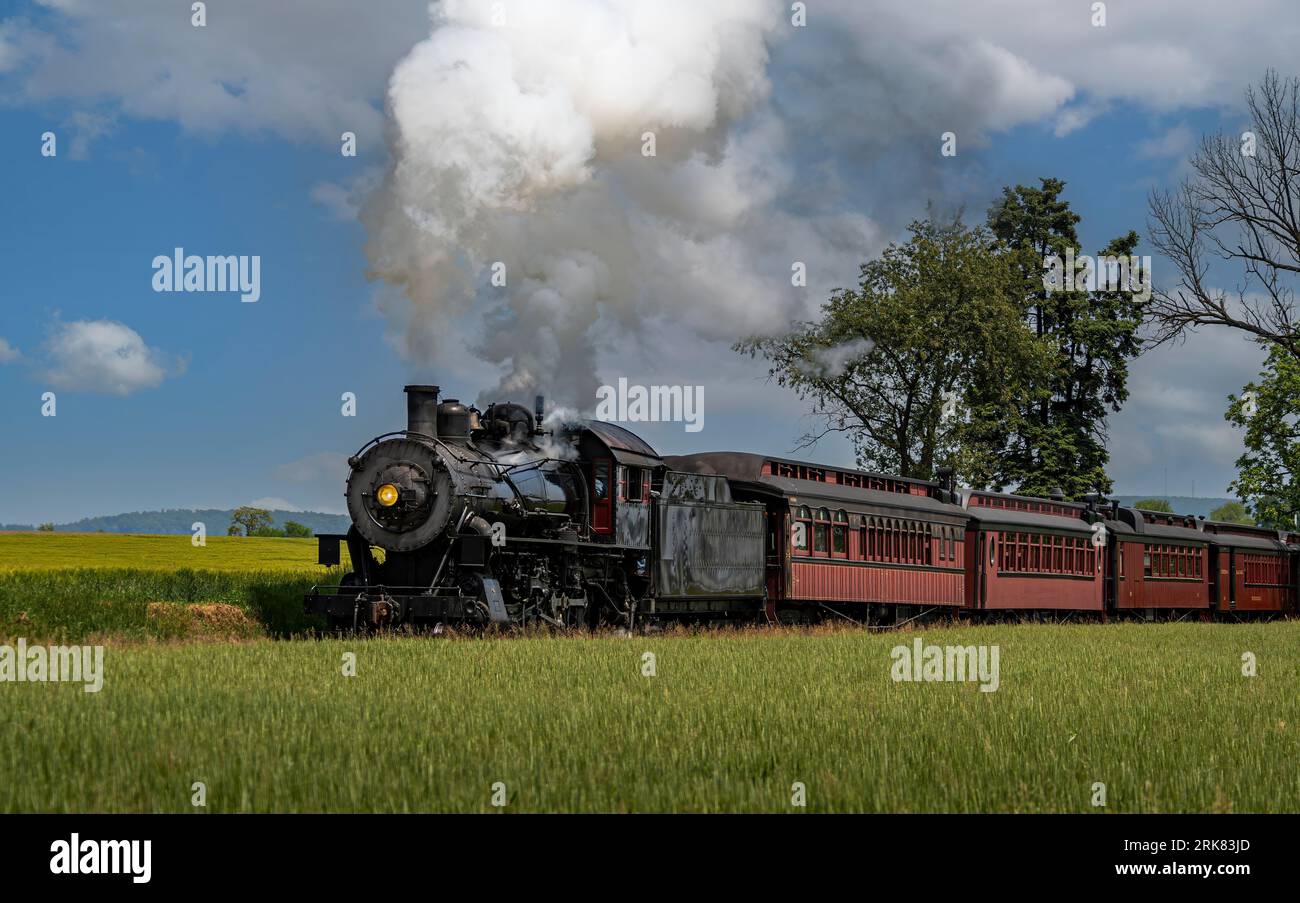 Un treno locomotiva d'epoca emette un pennacchio di fumo spesso e bianco mentre scorre lungo una serie di binari ferroviari, passando per un lussureggiante campo verde Foto Stock