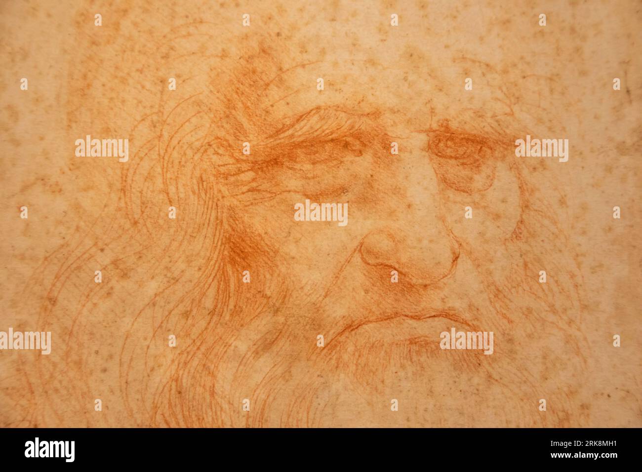 Torino, Italia - aprile 2023: Ritratto originale di Leonardo da Vinci su carta di cotone fatta a mano, Biblioteca reale Foto Stock