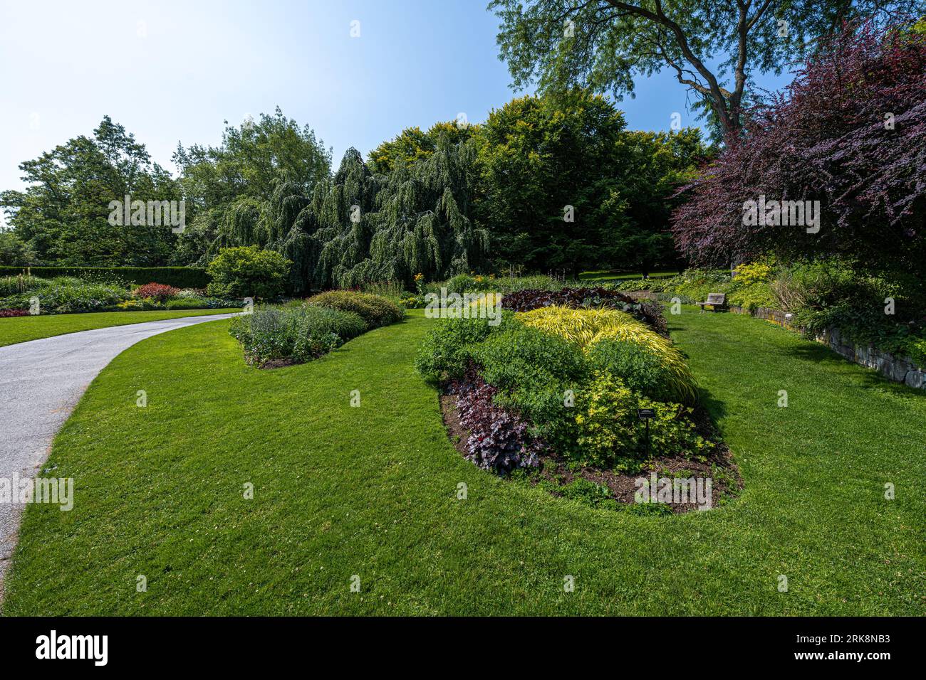 Giardino botanico Van Dusen a Vancouver Foto Stock