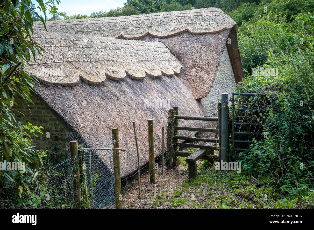 Uno splendido cottage tradizionale con tetto in paglia in Inghilterra Foto Stock