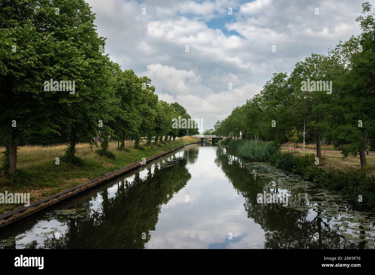 Rive verdi del Leidsche Rijn , che riflettono la natura circostante, Utrecht, Paesi Bassi Foto Stock