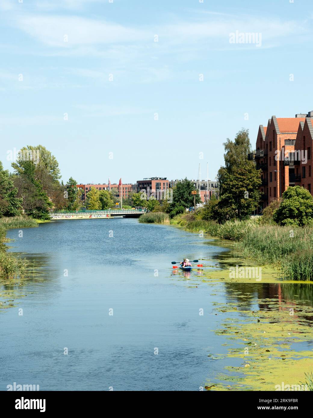 Kayak sul canale di Stepka o Kanał na Stępce presso l'isola di Ołowianka e nuovi edifici residenziali a Danzica, Polonia, Europa, UE Foto Stock