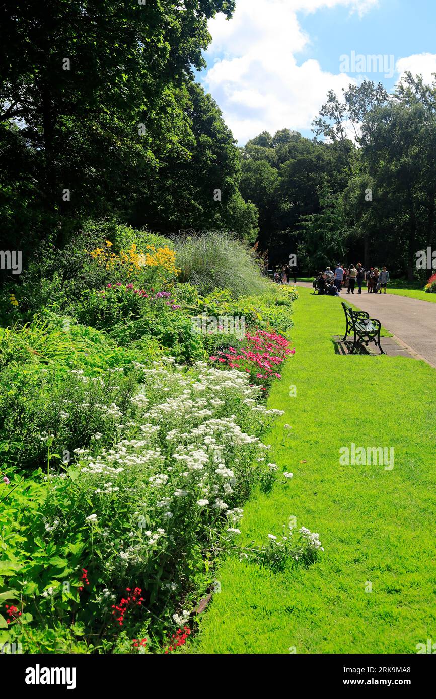 Il confine erbaceo, Bute Park, Cardiff scene. Preso nell'agosto 2023 Foto Stock