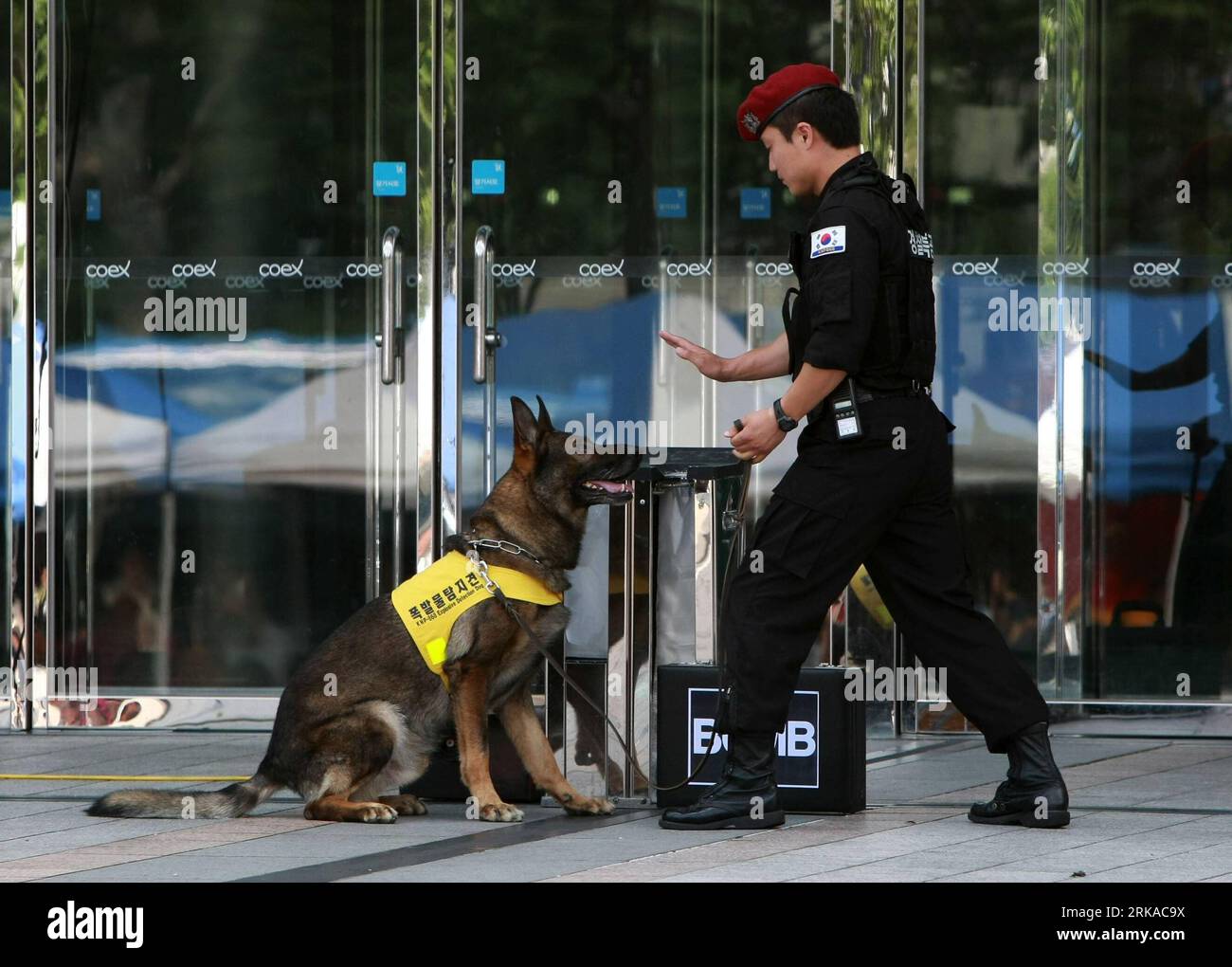 Bildnummer: 54311465 Datum: 18.08.2010 Copyright: imago/Xinhua (100818) - SEOUL, 18 agosto 2010 (Xinhua) - un'esercitazione anti-terrorismo contro gli attacchi di armi chimiche si tiene al Coex di Seoul, Corea del Sud, 18 agosto 2010. L'esercitazione faceva parte delle esercitazioni militari congiunte Corea del Sud-USA in corso, nome in codice Ulchi Freedom Guardian . (Xinhua/Park Jin-hee) COREA DEL SUD-SEOUL-TRAPANI MILITARI CONGIUNTI PUBLICATIONxNOTxINxCHN Gesellschaft Arbeitswelten Militär Militärübung Training kbdig xdp 2010 quer o0 Übung, Hund, Spürhund, Tiere Bildnummer 54311465 Date 18 08 2010 Copyright Imago XINHUA Seoul A. Foto Stock