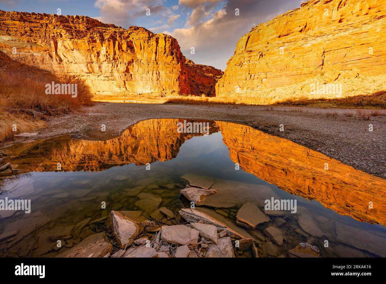 Riflessi lungo il fiume Colorado, Utah Foto Stock
