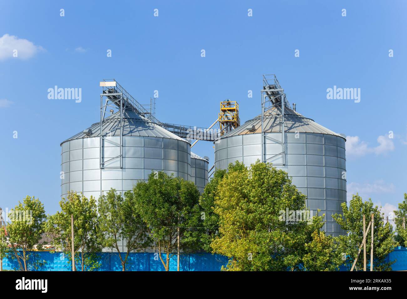 Moderno ascensore Granary e linea per la pulizia dei semi. Silos argentei su agro-processing e impianto di produzione per stoccaggio e lavorazione essiccazione pulizia di Foto Stock