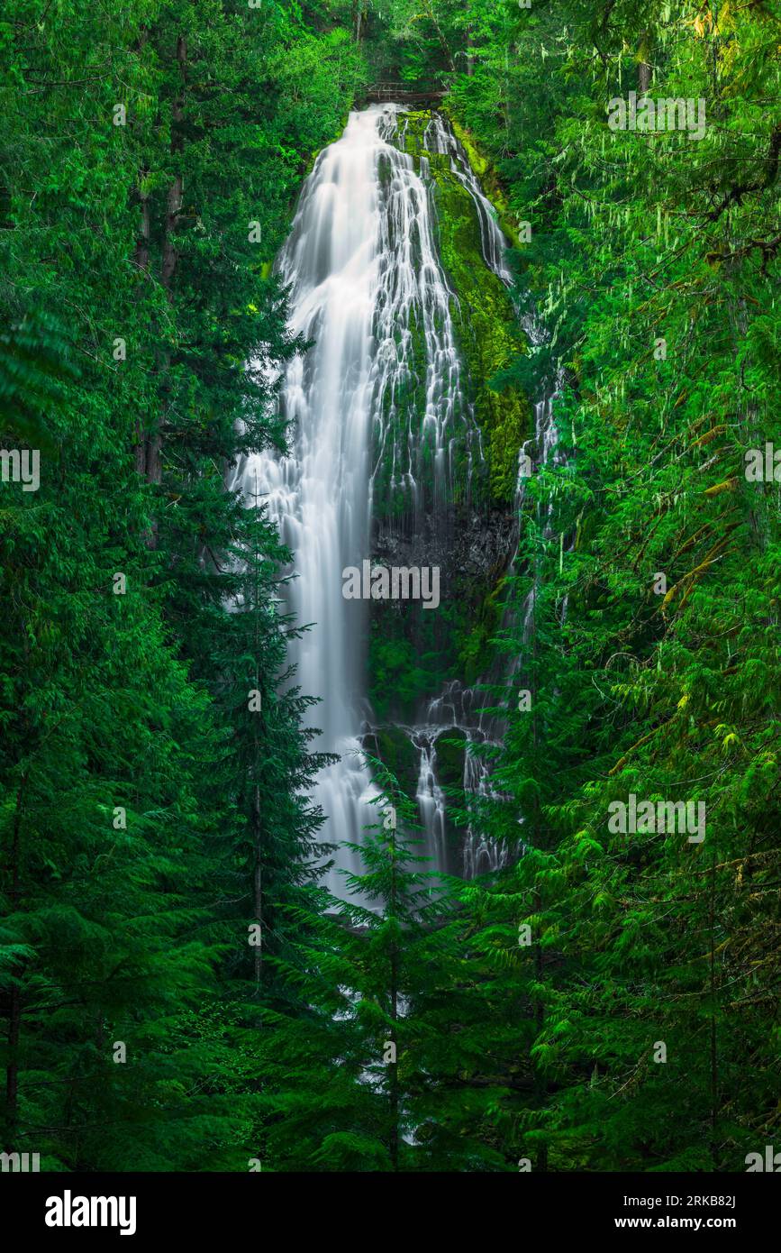 Proxy Falls, Three Sisters Wilderness, Oregon USA Foto Stock