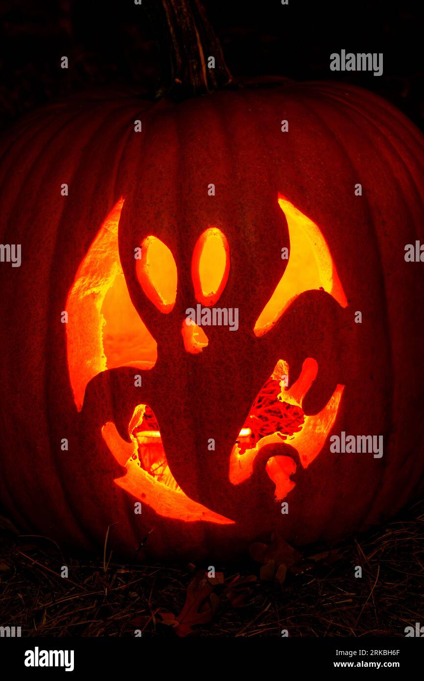 Fantasma. Zucca intagliata a tema Halloween. Stoddard Avenue Pumpkin Glow. Dayton, Ohio, USA. Foto Stock