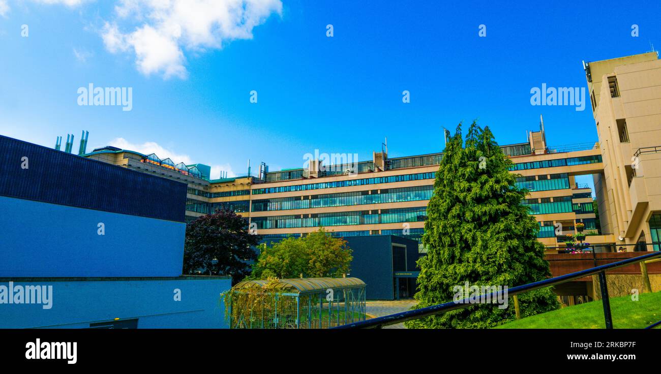 Irene Manton Building, Università di Leeds, Regno Unito. Foto Stock