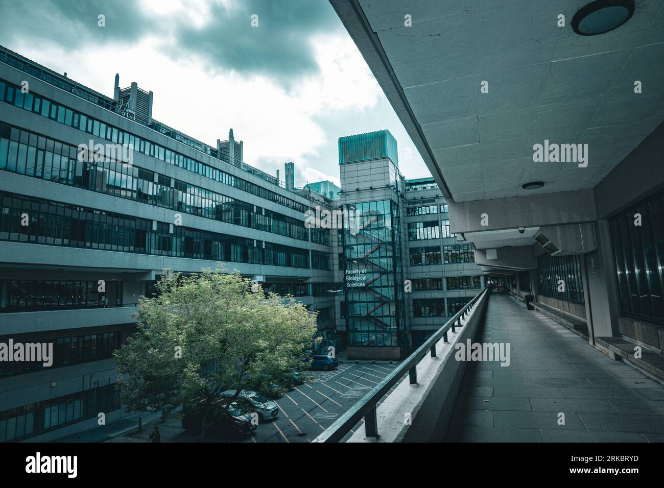 Irene Manton Building, Università di Leeds, Regno Unito. Foto Stock