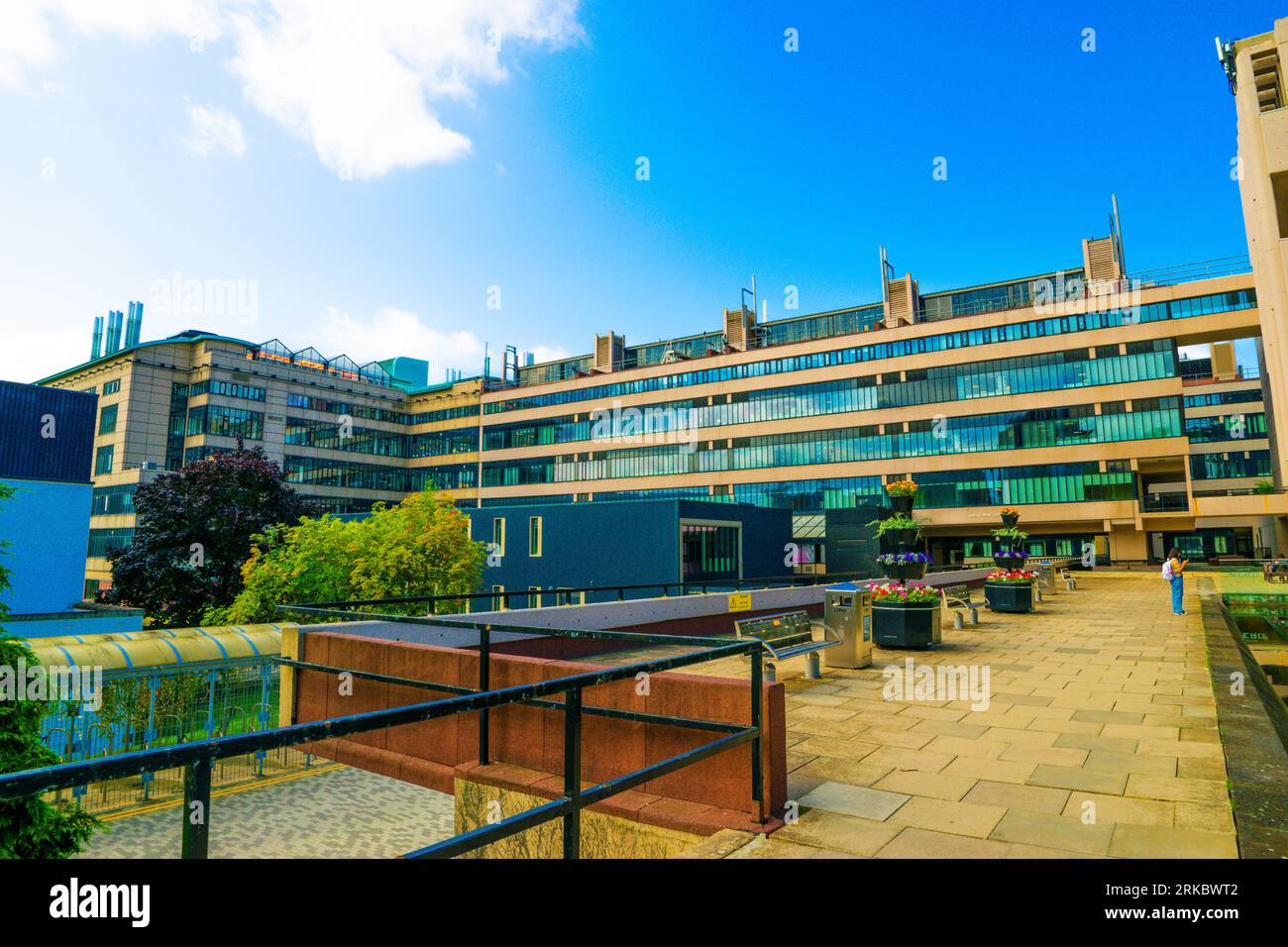 Irene Manton Building, Università di Leeds, Regno Unito. Foto Stock