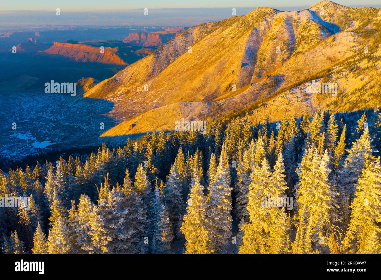 Alberi ghiacciati e deserto sottostante, Manti-la Sal National Forest, Utah, Colorado River Canyons vicino a Moab Foto Stock