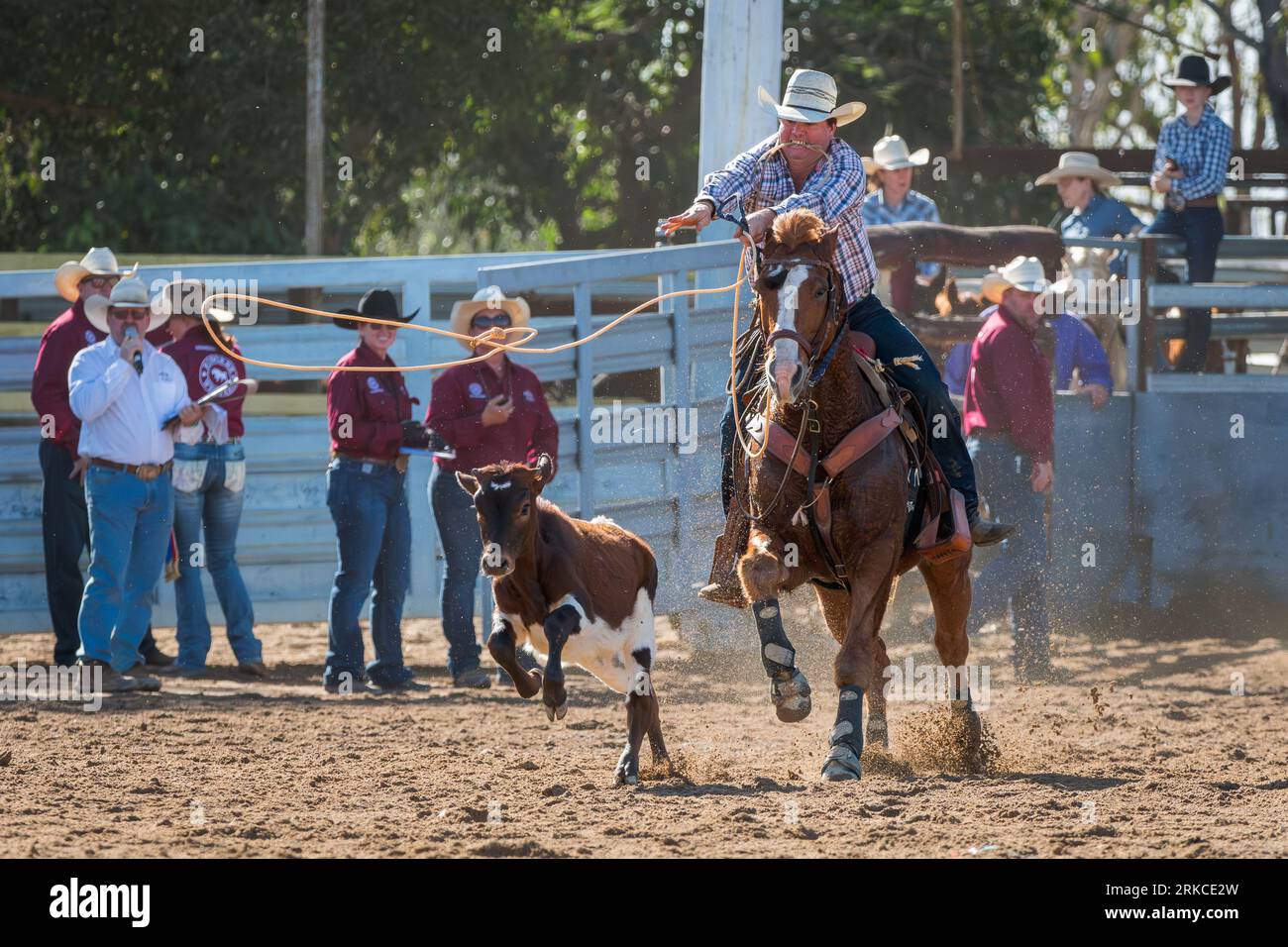 Un cowboy gira il suo lassoo mentre cavalca il polpaccio nel rodeo individuale di corda e cravatta al rodeo di Mareeba del 2023. Foto Stock