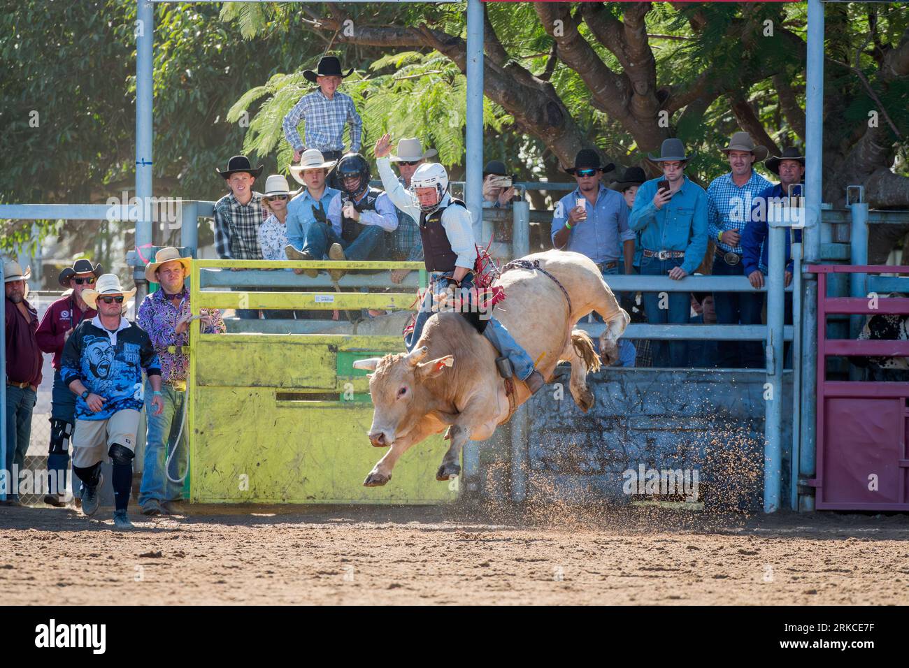 I giudici del rodeo e la squadra di supporto si aspettano come un concorrente nell'evento di equitazione dei tori che esce dal rodeo shute al 2023 Mareeba Rodeo. Foto Stock