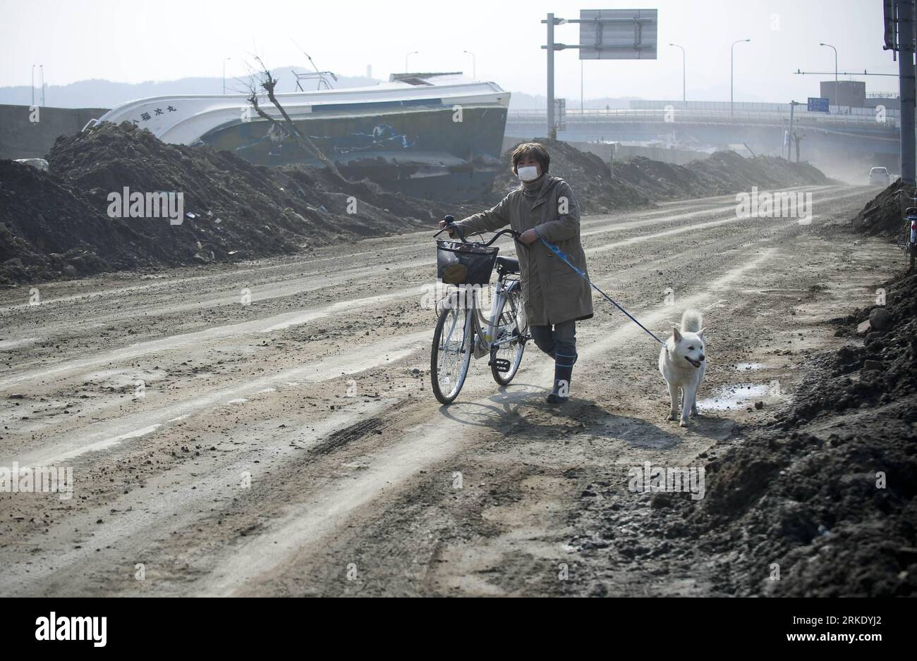 Bildnummer: 55019302 Datum: 13.03.2011 Copyright: imago/Xinhua MIYAKO, 13 marzo 2011 (Xinhua) - Un residente cammina davanti a una nave rovesciata con il suo cane a Miyako di Iwate, Giappone, 13 marzo 2011. Il terremoto e il conseguente tsunami hanno colpito la città di Miyako venerdì, lasciando 41 morti, 11 feriti e altri 628 dispersi a Miyako, secondo il governo locale.(Xinhua/lui Siu Wai) (djj) JAPAN-MIYAKO-QUAKE PUBLICATIONxNOTxINxCHN Gesellschaft Naturkatastrophe Erdbeben Tsunami kbdig xsk 2011 quer o0 Schäden Zerstörung Anwohner Hund Tiere Mundschutz // Gesellschaft Japan Naturkatastrophe Erdbeben T. Foto Stock