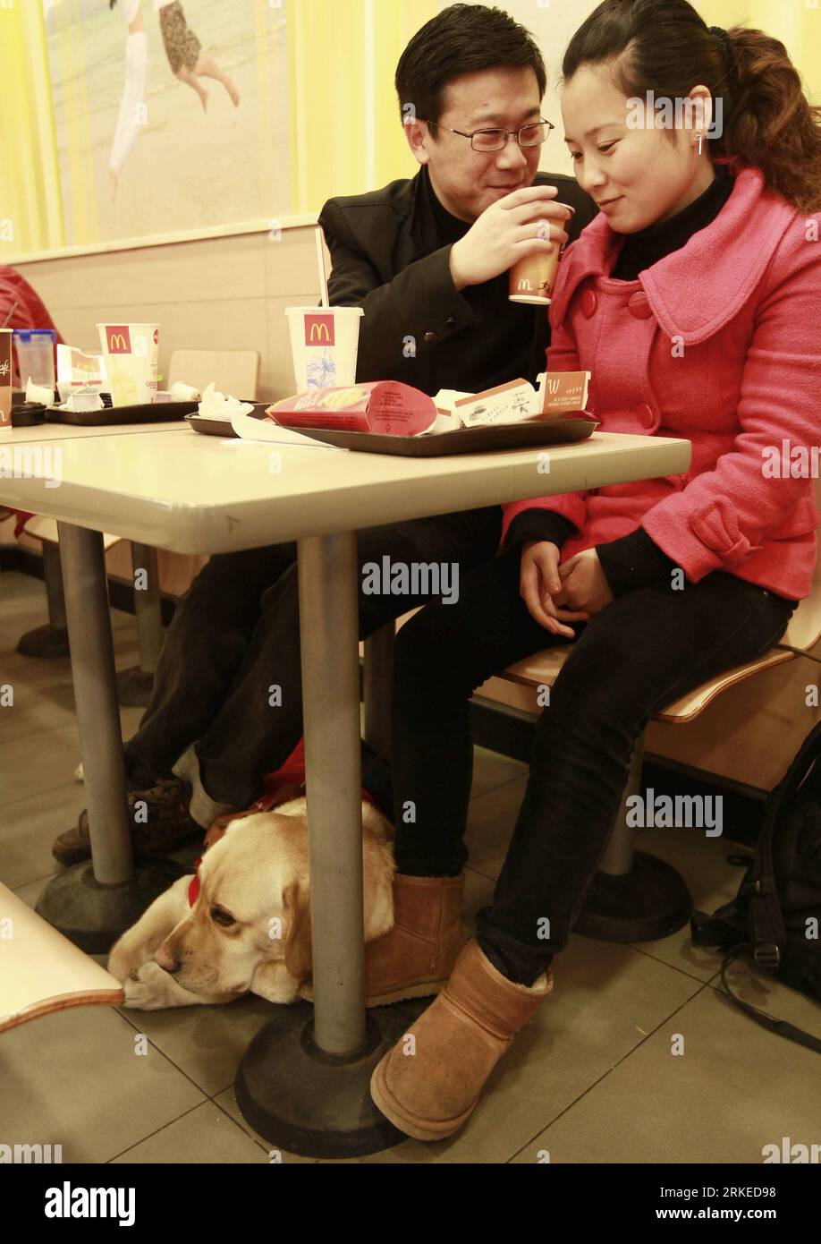 Bildnummer: 55237840 Datum: 27.03.2011 Copyright: imago/Xinhua SHANGHAI, 6 aprile 2011 (Xinhua) - Xie Danling (R) e suo marito Zhu Guoxiang mangiano in un fast food, visto che il cane Yile si trova sullo stomaco sotto il tavolo a Shanghai, Cina orientale, 27 marzo 2011. Yile è un cane da vista ben addestrato con cui ha vissuto Xie Danling 26 anni dallo scorso novembre. Dopo il periodo di incontro con il suo padrone nei primi due mesi, Yile è diventata un membro importante della famiglia di Xie e parte indispensabile della sua vita. Nella vita quotidiana di Xie, Yile ricorda il suo padrone dei passi, rosso AN Foto Stock