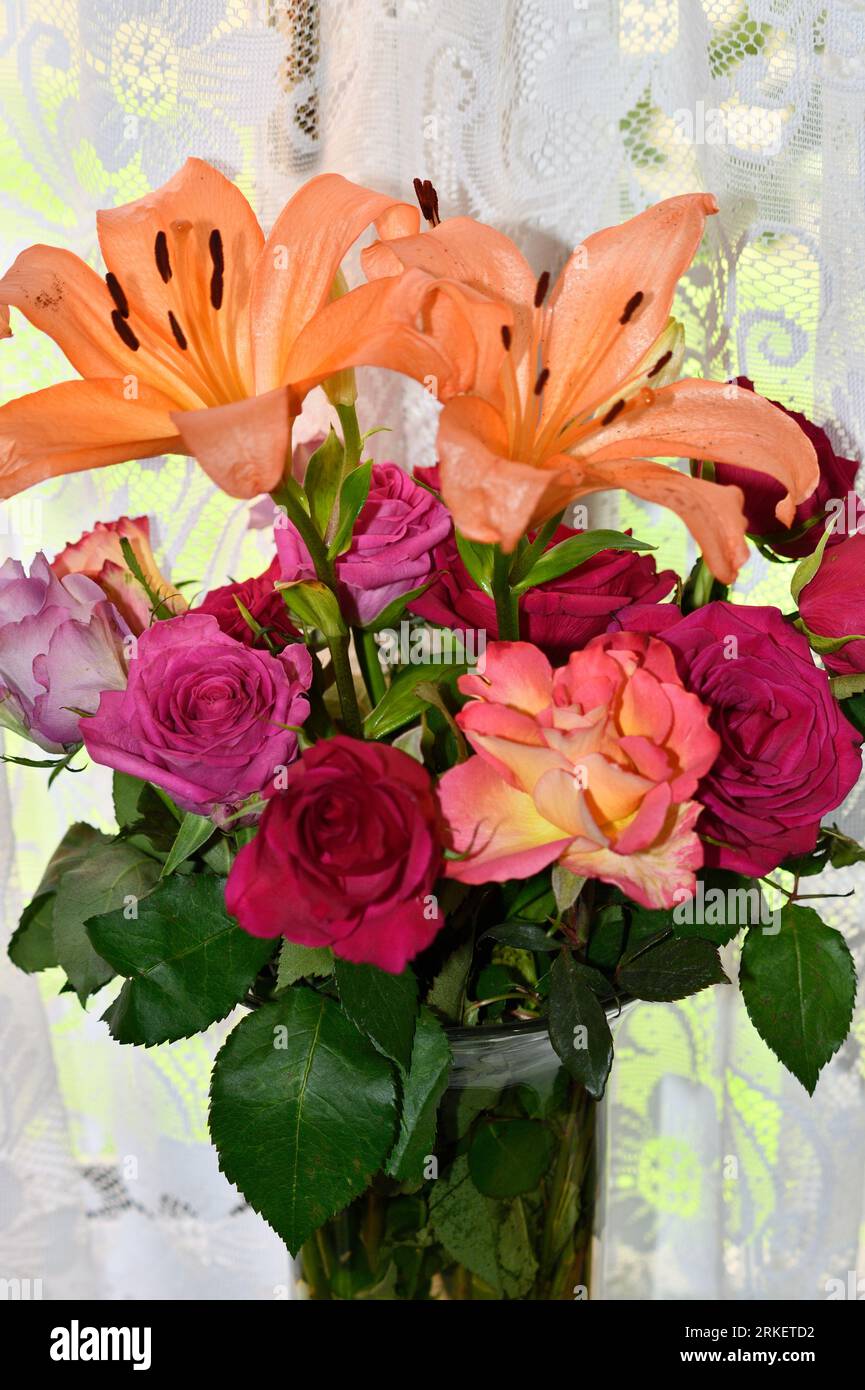 Gigli asiatici (lilio) con rose (rosa) al chiuso nei mesi estivi Foto Stock
