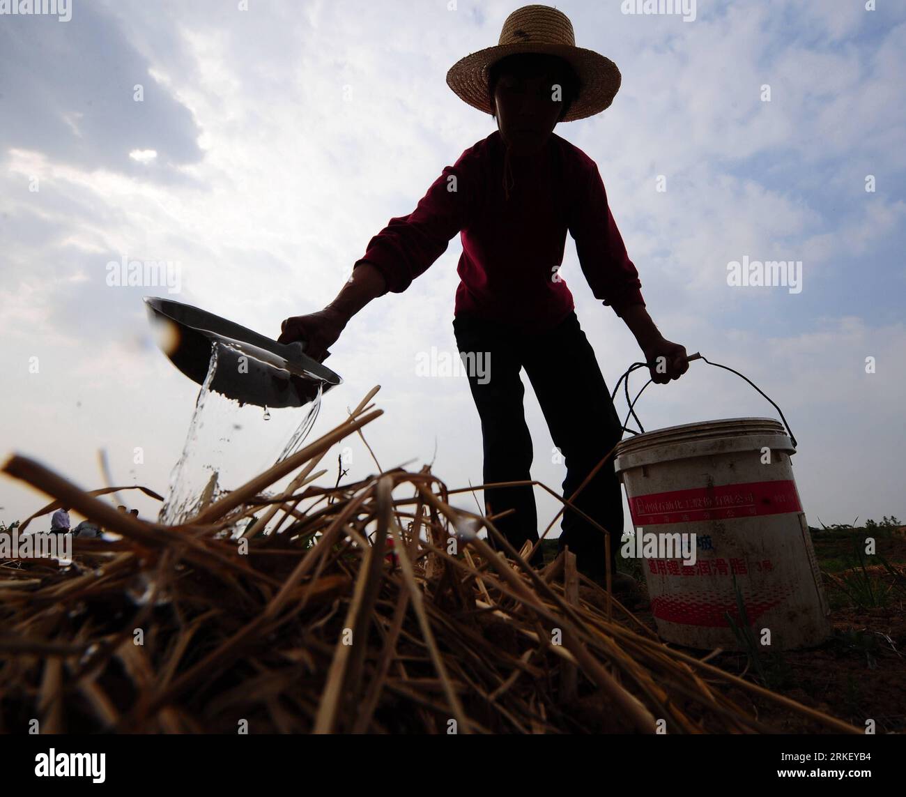Bildnummer: 55315375 Datum: 04.05.2011 Copyright: imago/Xinhua (110504) -- MACHENG, 4 maggio 2011 (Xinhua) -- Un abitante del villaggio versa acqua sulle piantine di alberi di tè-olio nella città di Macheng, provincia di Hubei della Cina centrale, 4 maggio 2011. Una grave siccità ha colpito la provincia di Hubei dal novembre del 2010, portando un terzo delle sue contee e città sotto una grave carenza idrica. Il governo locale sta adottando misure per combattere la siccità e garantire la sua aratura primaverile. Alcuni agricoltori locali hanno rinunciato alla piantagione di riso rivolgendosi alle colture adatte alla terra secca, come il cotone. (Xinhua/Cheng min) (lfj) Foto Stock