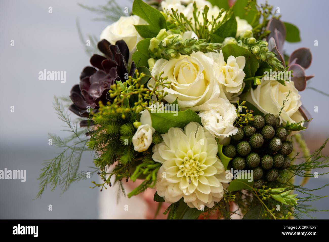 Fiori del deserto in un bouquet di nozze per una sposa Foto Stock