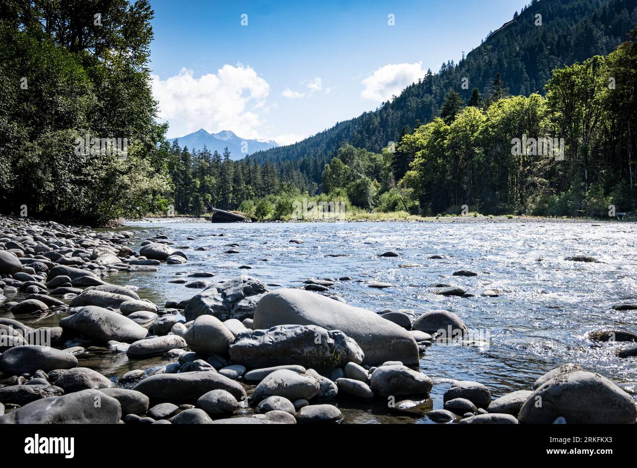 Fiume Elwha nell'Olympic National Park nello stato di Washington. Foto Stock