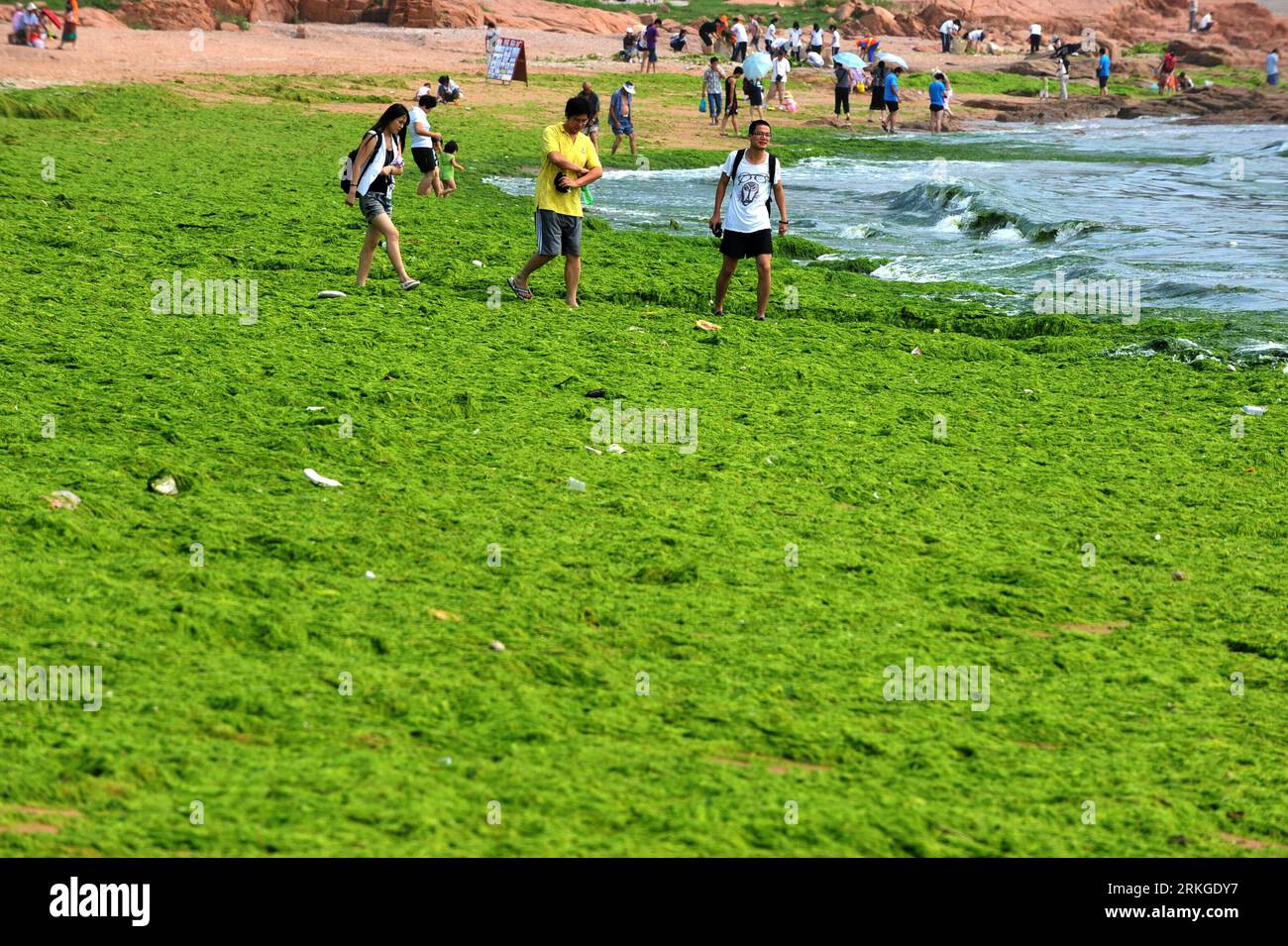 Bildnummer: 55585525 Datum: 11.07.2011 Copyright: imago/Xinhua (110711) -- QINGDAO, 11 luglio 2011 (Xinhua) -- i visitatori giocano nell'area costiera piena di alghe di Fushan Bay nella città di Qingdao, nella provincia di Shandong della Cina orientale, 11 luglio 2011. Altre alghe verdi, o enteromorpha prolifera, sono state lavate a terra lunedì, lasciando un tappeto verde lungo circa 400 metri e largo 30 metri sulla spiaggia vicino al centro di Qingdao. (Xinhua/li Ziheng) (Gsy) CHINA-SHANDONG-QINGDAO-GREEN ALGAE (CN) PUBLICATIONxNOTxINxCHN Gesellschaft Algen Algenplage Plage Meer Strand xdf x0x 2011 quer Bildnummer 55585525 Data 11 07 2011 Foto Stock