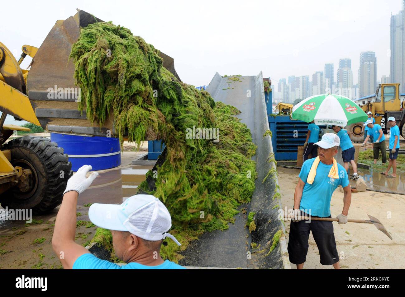 Bildnummer: 55606004 Datum: 20.07.2011 Copyright: imago/Xinhua (110720) -- QINGDAO, 20 luglio 2011 (Xinhua) -- i lavoratori rimuovono le alghe verdi raccolte dalla zona marina della città di Qingdao, provincia dello Shandong della Cina orientale, 20 luglio 2011. Le alghe verdi continuano a diffondersi nelle acque al largo della costa orientale della Cina. (Xinhua/li Ziheng) (ry) CHINA-SHANDONG-QINGDAO-GREEN ALGAE (CN) PUBLICATIONxNOTxINxCHN Gesellschaft Alge Grünalge Grünalgen Algenplage Plage Säuberung x0x xtm 2011 quer Bildnummer 55606004 Data 20 07 2011 Copyright Imago XINHUA Qingdao luglio 20 2011 XINHUA lavoratori RIMUOVERE le alghe verdi riunite Foto Stock