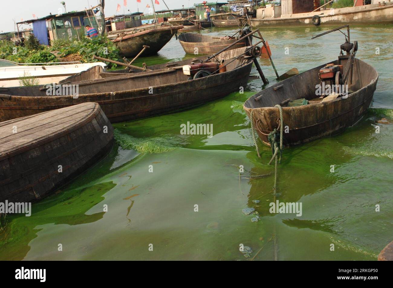 Bildnummer: 55611060 Datum: 23.07.2011 Copyright: imago/Xinhua (110723) -- HEFEI, 23 luglio 2011 (Xinhua) -- barche da pesca ormeggiano lungo la riva del lago Chaohu riempito di alghe nella provincia di Anhui della Cina orientale, 23 luglio 2011. Una fioritura di alghe ha ricoperto di recente il lago Chaohu. (Xinhua/Yang Xiaoyuan) (Ly) #CHINA-ANHUI-HEFEI-CHAOHU LAKE-ALGAE (CN) PUBLICATIONxNOTxINxCHN Gesellschaft vedere Algen Plage Algenplage Umweltverschmutzung xda x0x 2011 quer premiumd Bildnummer 55611060 Data 23 07 2011 Copyright Imago XINHUA Hefei 23 luglio 2011 XINHUA barche da pesca Moor lungo la riva delle alghe riempite CH Foto Stock