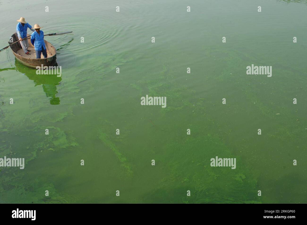 Bildnummer: 55611061 Datum: 23.07.2011 Copyright: imago/Xinhua (110723) -- HEFEI, 23 luglio 2011 (Xinhua) -- i lavoratori remano una barca nel lago Chaohu riempito di alghe per l'ispezione dell'inquinamento nella provincia di Anhui della Cina orientale, 23 luglio 2011. Una fioritura di alghe ha ricoperto di recente il lago Chaohu. (Xinhua/Yang Xiaoyuan) (Ly) #CHINA-ANHUI-HEFEI-CHAOHU LAKE-ALGAE (CN) PUBLICATIONxNOTxINxCHN Gesellschaft vedere Algen Plage Algenplage Umweltverschmutzung xda x0x 2011 quer premiumd Bildnummer 55611061 Data 23 07 2011 Copyright Imago XINHUA Hefei 23 luglio 2011 XINHUA Workers Row a Boat in the Algae filled Chaohu Foto Stock