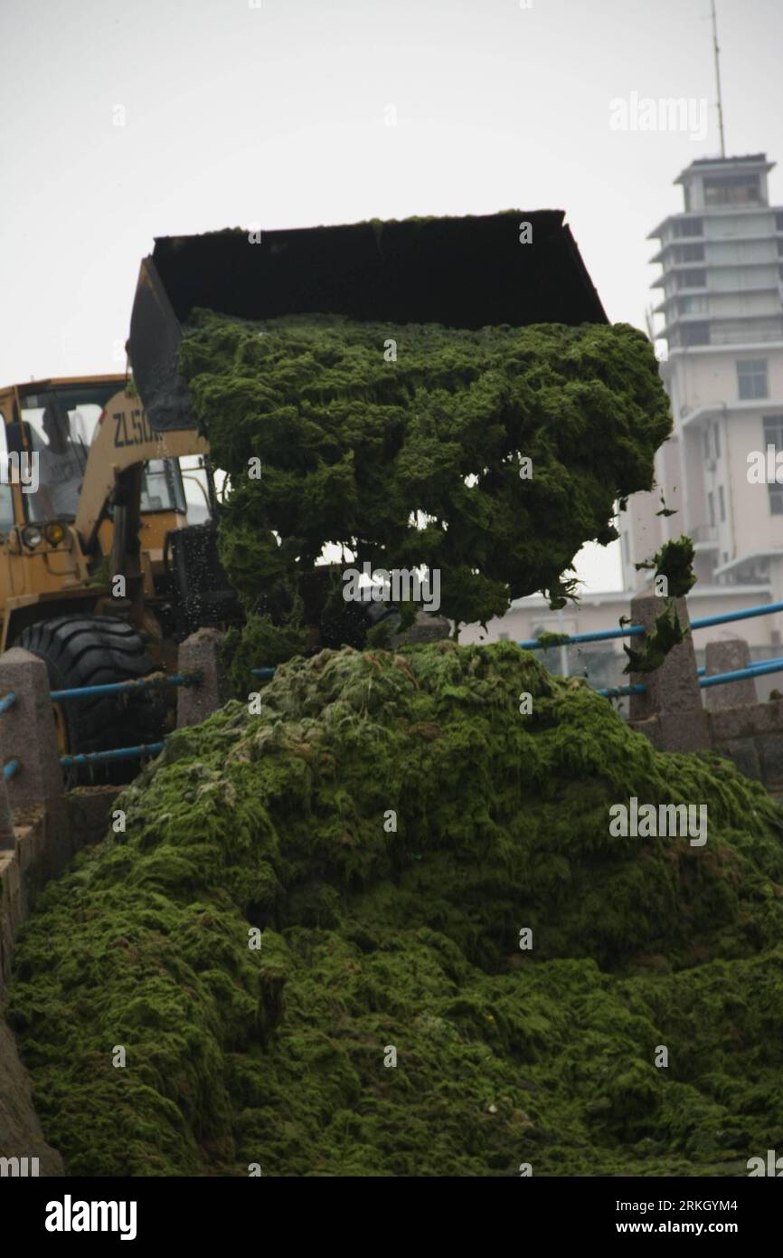 Bildnummer: 55644108 Datum: 30.07.2011 Copyright: imago/Xinhua (110730) -- QINGDAO, 30 luglio 2011 (Xinhua) -- Un carrello elevatore rimuove le alghe verdi dalla zona marina della città di Qingdao, provincia dello Shandong della Cina orientale, 30 luglio 2011. Il governo locale ha fatto tutto il possibile per ripulire le alghe verdi di recente. (Xinhua/Huang Jiexian) (Ly) #CHINA-QINGDAO-GREEN ALGAE (CN) PUBLICATIONxNOTxINxCHN Gesellschaft Meer Küste Algen Alge Grünalge Algenplage Reinigung xbs x0x 2011 Hoch Bildnummer 55644108 Data 30 07 2011 Copyright Imago XINHUA Qingdao luglio 30 2011 XINHUA un carrello elevatore rimuove le alghe verdi dalla S Foto Stock