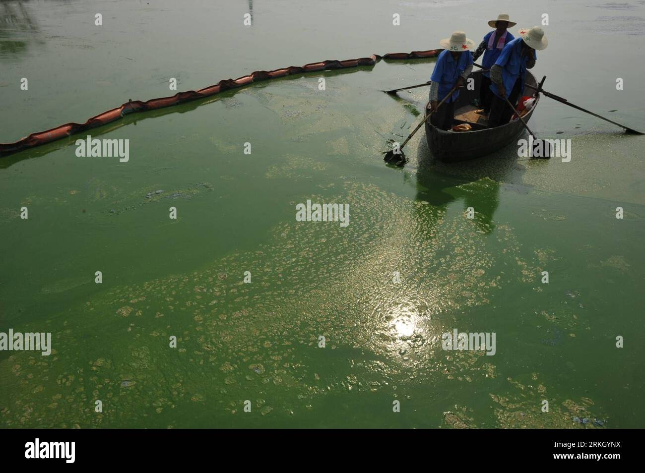 Bildnummer: 55644149 Datum: 30.07.2011 Copyright: imago/Xinhua (110730) -- HEFEI, 30 luglio 2011 (Xinhua) -- gli operatori sanitari sgombrano le alghe del lago Chaohu su una barca a Heifei, provincia di Anhui, Cina orientale, 30 luglio 2011. Il cane da guardia provinciale dell'ambiente di Anhui ha proposto massicce missioni di pulizia nelle acque del lago Chaohu mentre la fioritura delle alghe si sta diffondendo. (Xinhua/Yang Xiaoyuan) (ljh) #CHINA-ANHUI-HEFEI-CHAOHU LAKE-ALGAE OUTBREAK (CN) PUBLICATIONxNOTxINxCHN Gesellschaft Wasserverschmutzung Wasser vedere Algen Alge Algenplage Reinigung xbs x0x 2011 quer Bildnummer 55644149 da Foto Stock