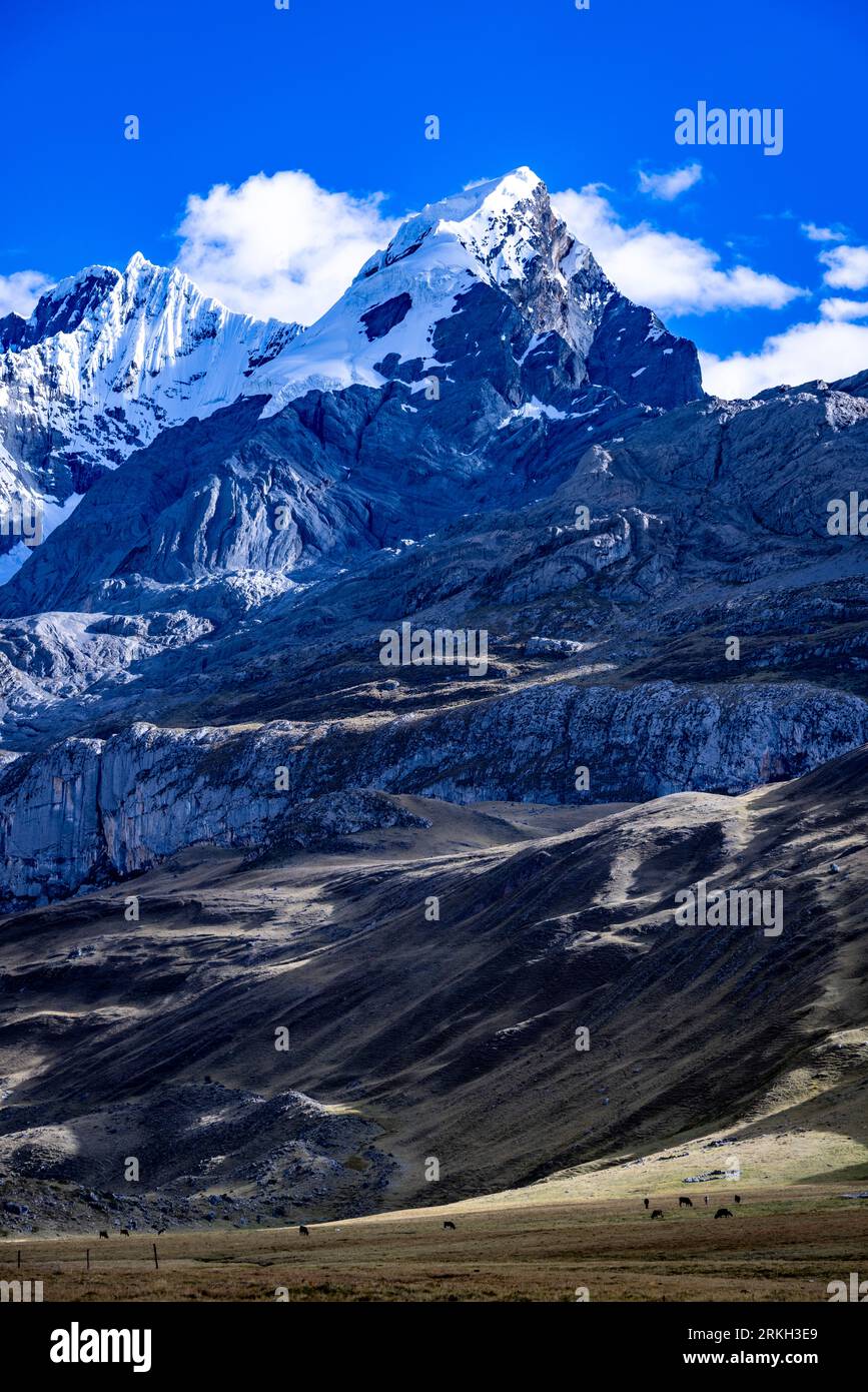 Vista delle montagne Rondoy e Ninashanca dal campeggio Mitucocha, dal circuito escursionistico Huayhuash e dalle Ande peruviane Foto Stock