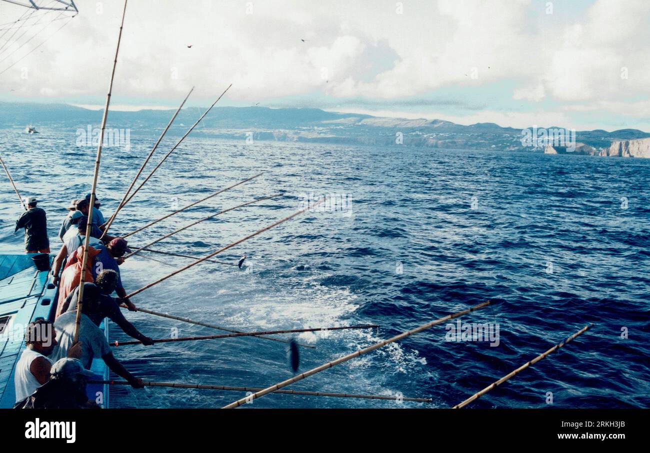 Pesca del tonno con lenze e canne nelle isole Azzorre, Portogallo Foto Stock