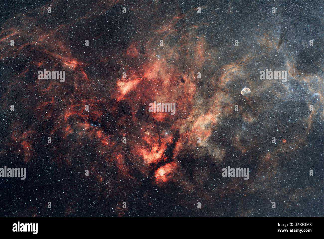 Una regione di Sadr con la farfalla e la nebulosa a mezzaluna nella costellazione del Cigno Foto Stock